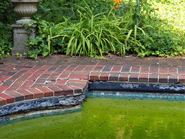 Steve Greene broke-ass pool