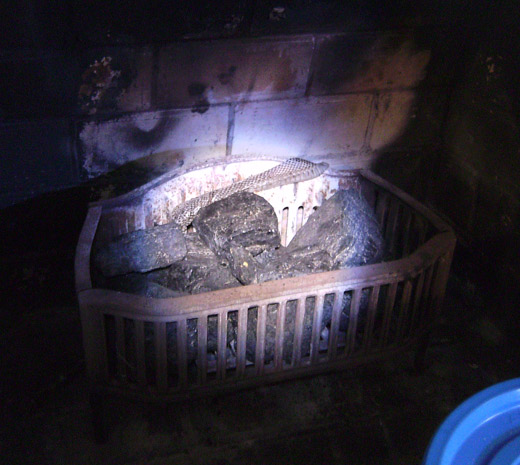 snakeskin4 snakeskin in fireplace