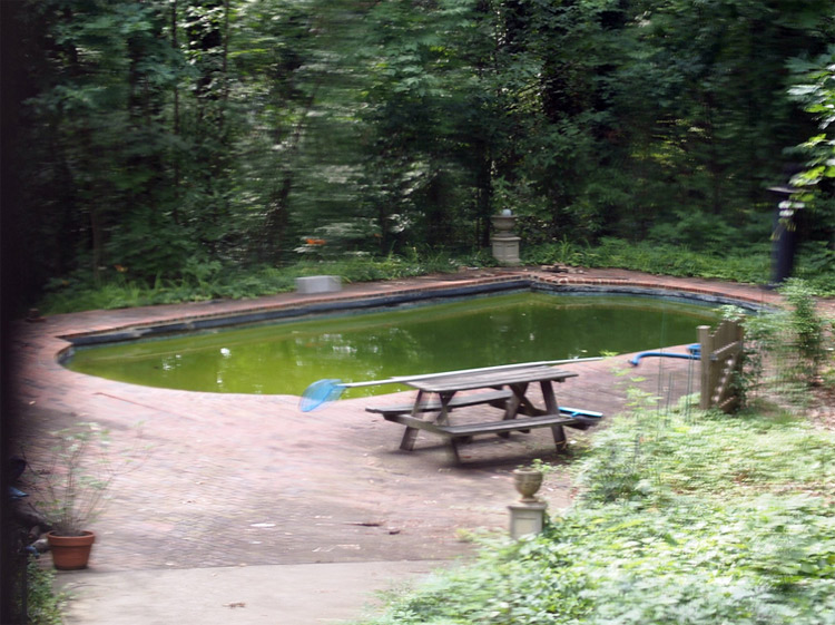 photo credits: Steve Greene