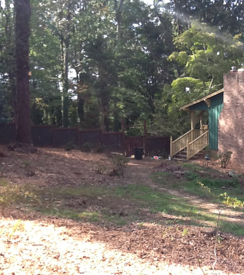 Mulched.  Die, ivy.  Die.