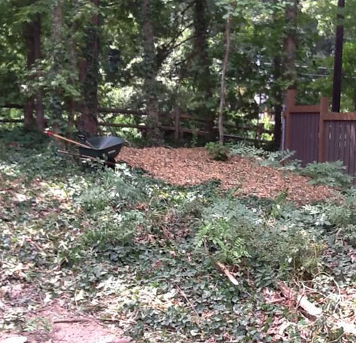 To which I replied, "Buddy, I'm f*@&ing counting on that."