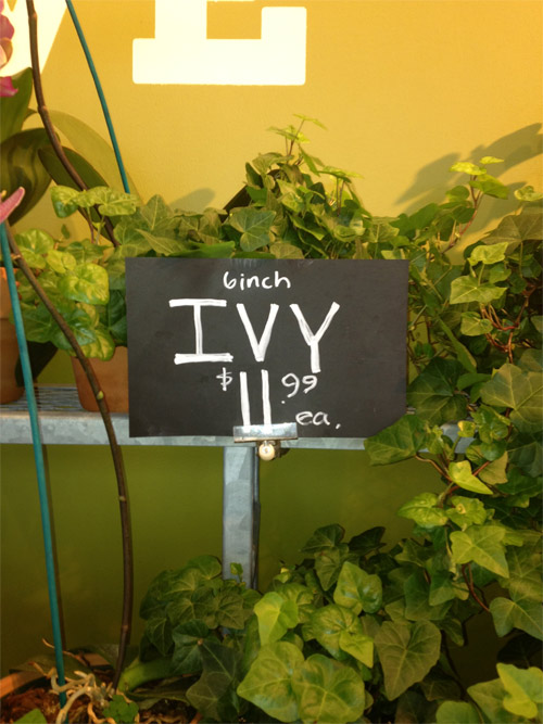 We looked at this, left the store, said "No, that couldn't be right," and went back in to check. Sure 'nuff...