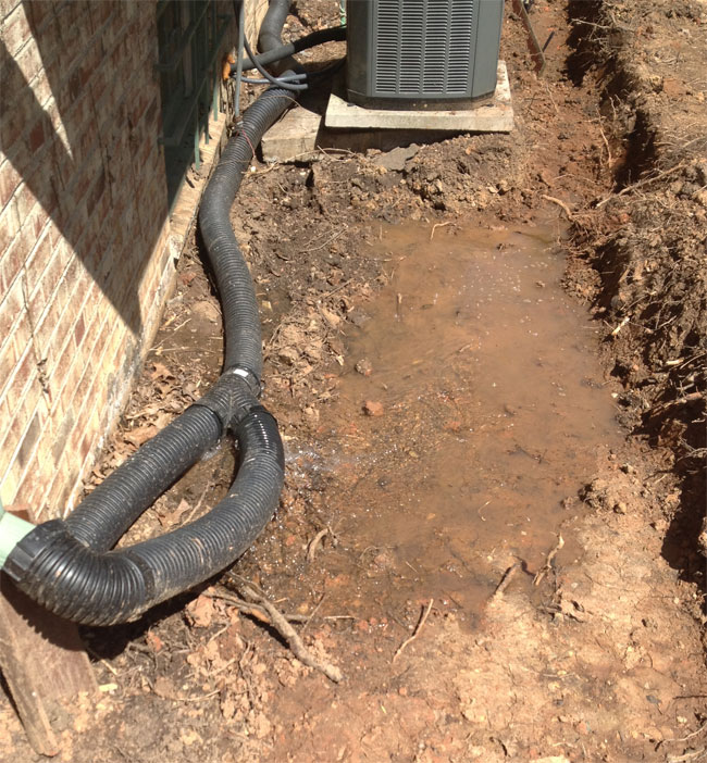 Why does the basement keep flooding? We said. We haven't had rain in three weeks, We said.