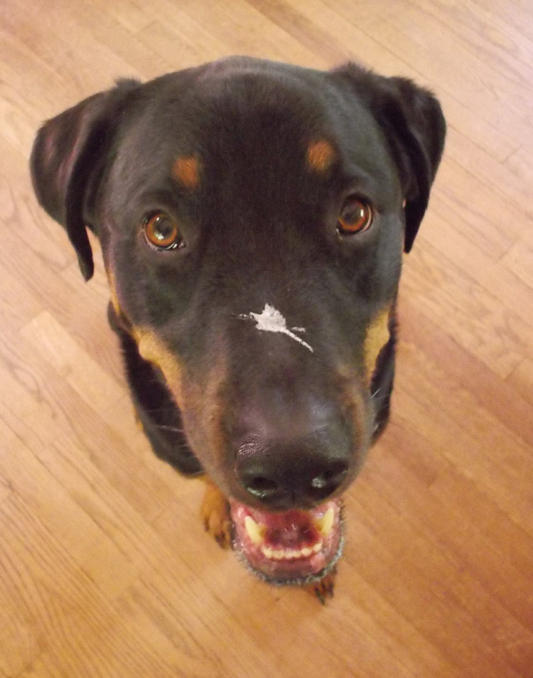 Maybe the oddest picture I've ever taken, for more than one reason.